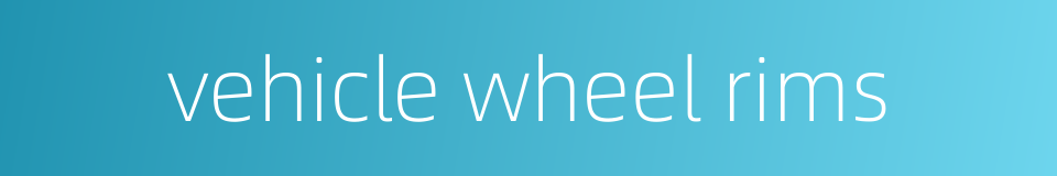 vehicle wheel rims的同义词