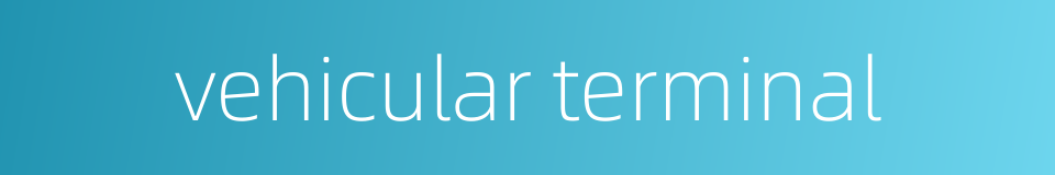 vehicular terminal的同义词