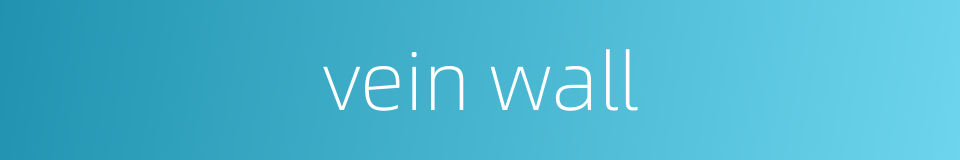 vein wall的同义词