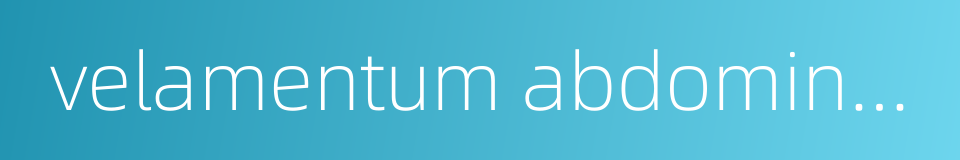 velamentum abdominale的同义词