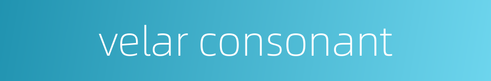 velar consonant的同义词