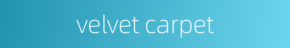 velvet carpet的同义词