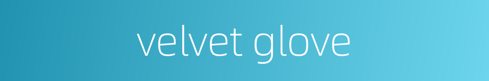 velvet glove的同义词