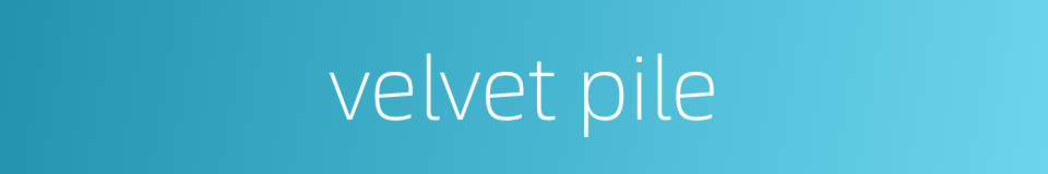 velvet pile的同义词