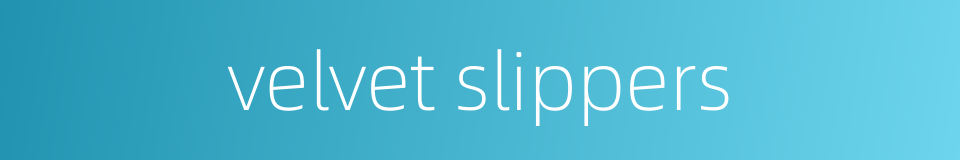 velvet slippers的同义词