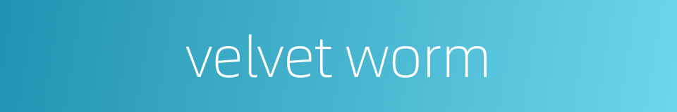 velvet worm的同义词
