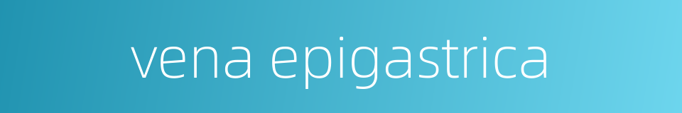 vena epigastrica的同义词