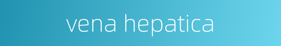 vena hepatica的同义词