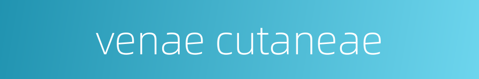 venae cutaneae的同义词