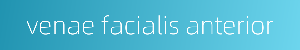 venae facialis anterior的同义词