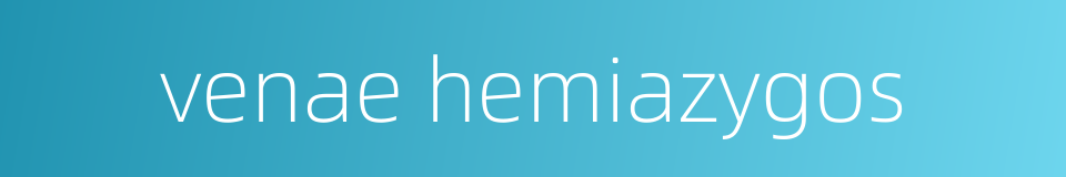 venae hemiazygos的同义词