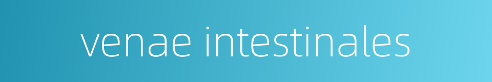 venae intestinales的同义词