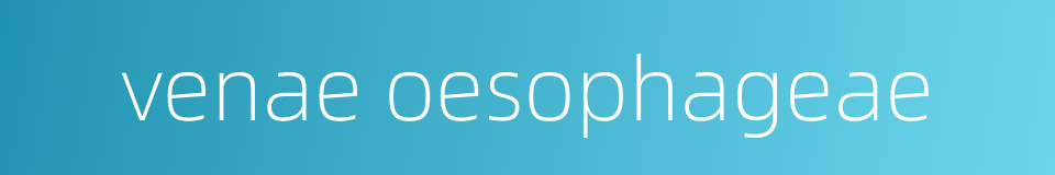 venae oesophageae的同义词