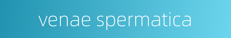 venae spermatica的同义词