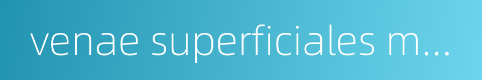 venae superficiales membri inferioris的同义词