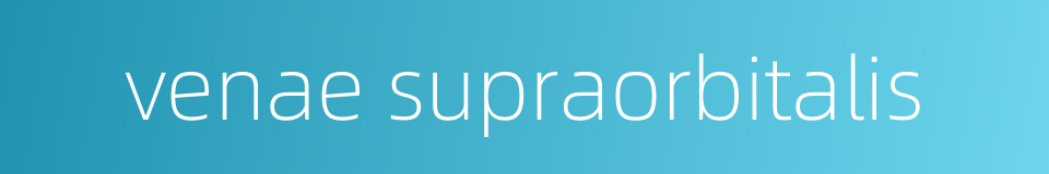 venae supraorbitalis的同义词