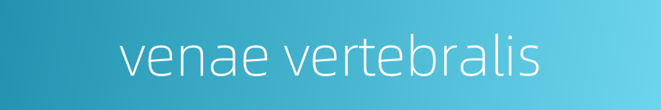 venae vertebralis的同义词