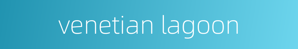 venetian lagoon的同义词