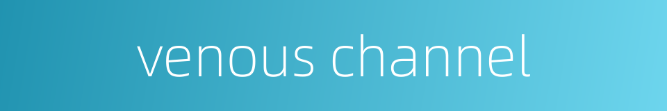 venous channel的同义词