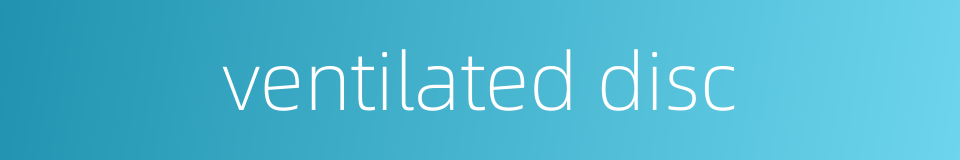 ventilated disc的同义词