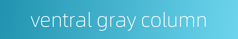 ventral gray column的同义词