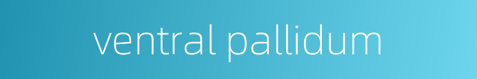 ventral pallidum的同义词
