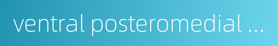 ventral posteromedial nucleus的同义词