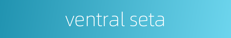 ventral seta的同义词