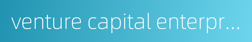 venture capital enterprise的同义词