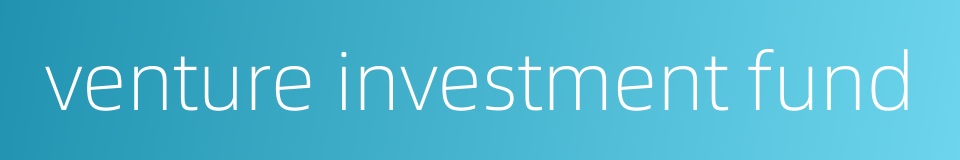 venture investment fund的同义词