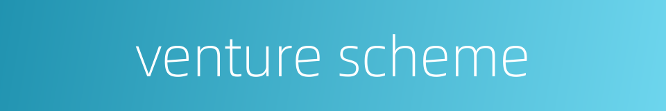 venture scheme的同义词