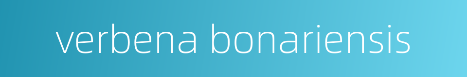 verbena bonariensis的同义词