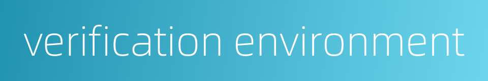 verification environment的同义词