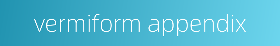 vermiform appendix的同义词