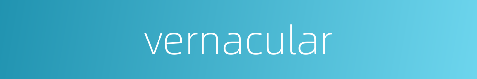vernacular的同义词