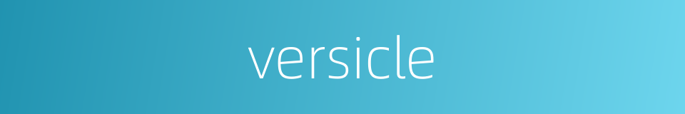versicle的同义词