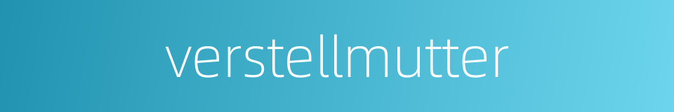 verstellmutter的同义词