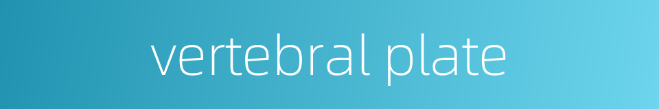 vertebral plate的同义词