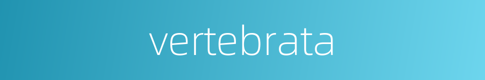 vertebrata的同义词