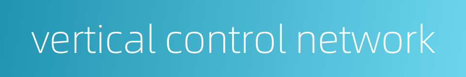 vertical control network的同义词