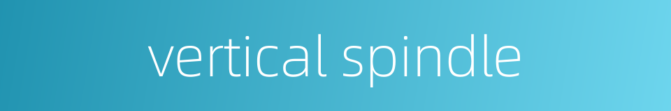 vertical spindle的同义词