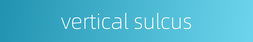 vertical sulcus的同义词