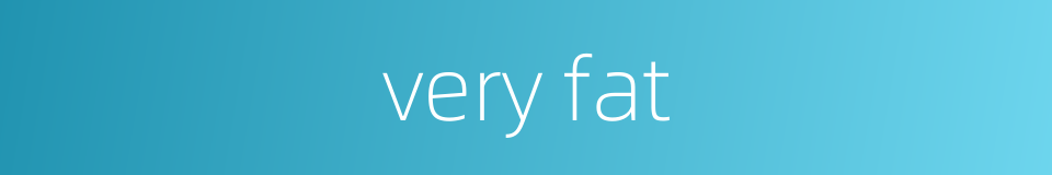 very fat的同义词