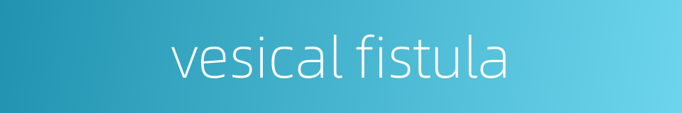 vesical fistula的同义词