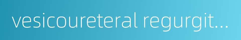 vesicoureteral regurgitation的同义词