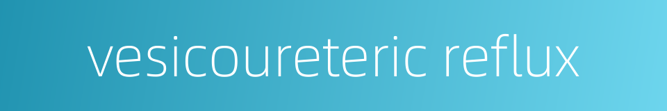 vesicoureteric reflux的同义词