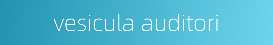 vesicula auditori的同义词