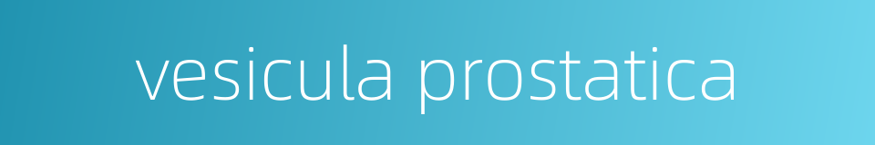 vesicula prostatica的同义词