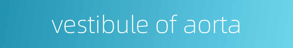 vestibule of aorta的同义词