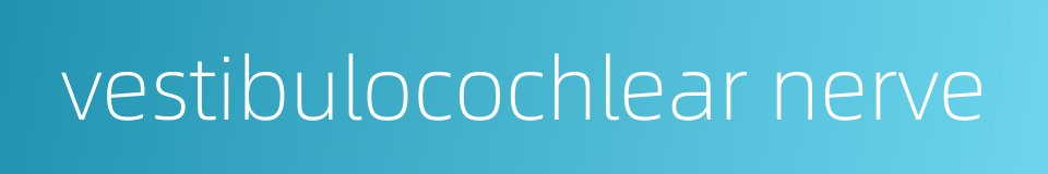 vestibulocochlear nerve的同义词